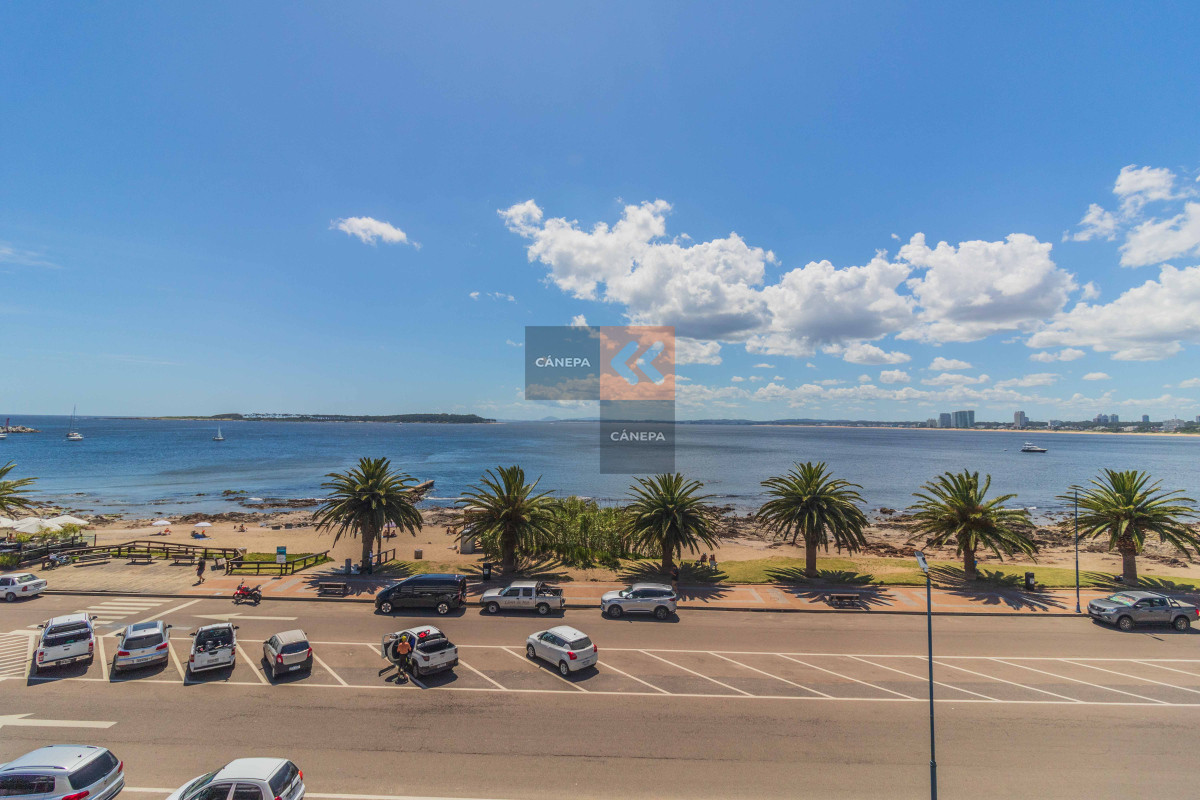 Península - GoPunta - Portal Inmobiliario de Punta del Este - Maldonado