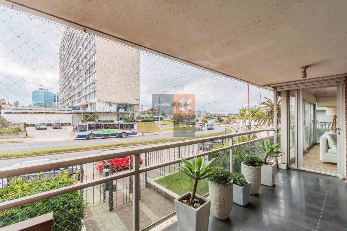 Pocitos - GoPunta - Portal Inmobiliario de Punta del Este - Maldonado