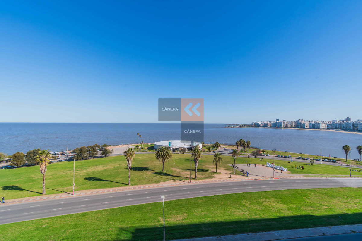 Pocitos - GoPunta - Portal Inmobiliario de Punta del Este - Maldonado