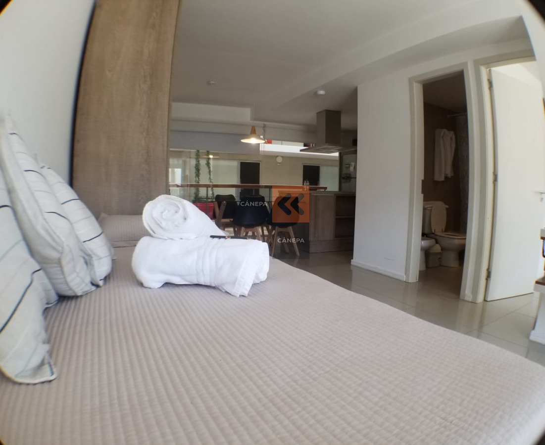 Puerto - GoPunta - Portal Inmobiliario de Punta del Este - Maldonado