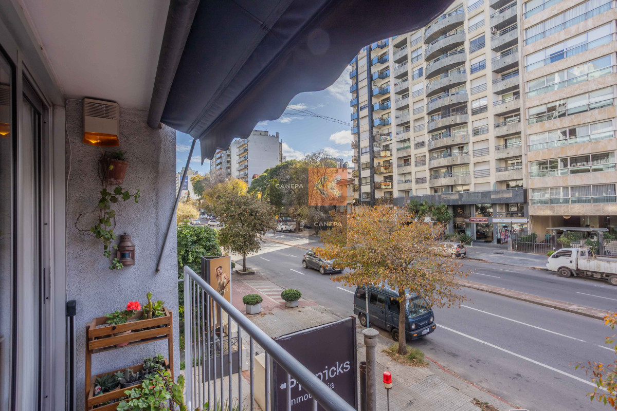 Punta Carretas - GoPunta - Portal Inmobiliario de Punta del Este - Maldonado