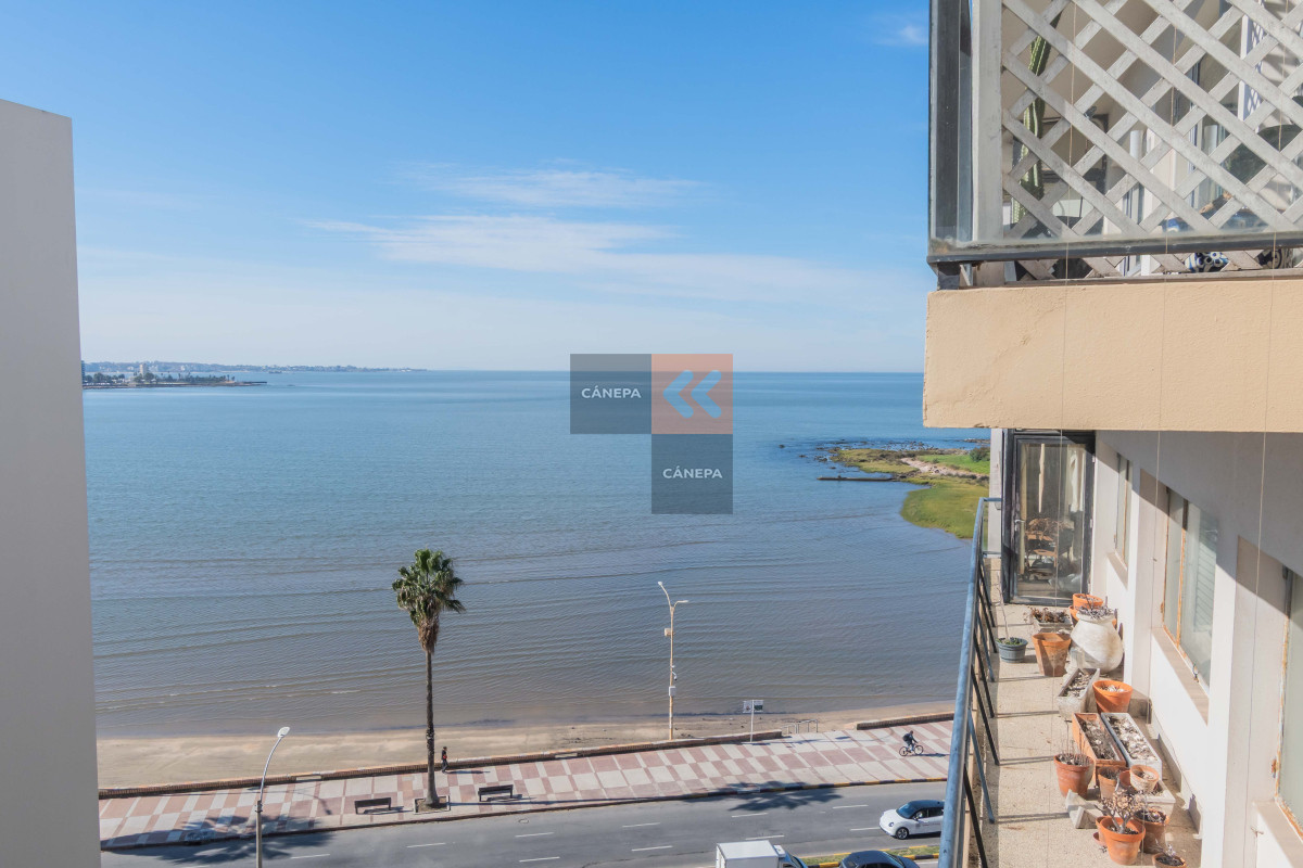 Punta Carretas - GoPunta - Portal Inmobiliario de Punta del Este - Maldonado