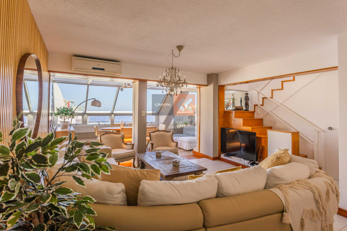 Brava - GoPunta - Portal Inmobiliario de Punta del Este - Maldonado