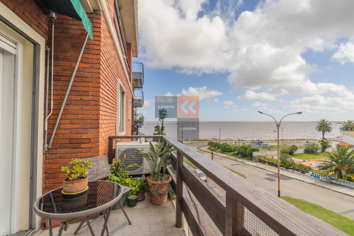 Buceo - GoPunta - Portal Inmobiliario de Punta del Este - Maldonado