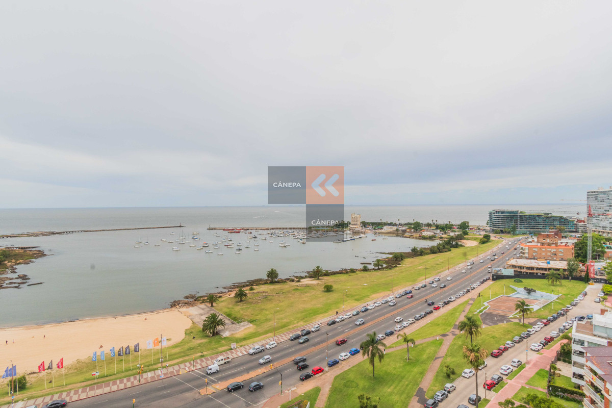 Buceo - GoPunta - Portal Inmobiliario de Punta del Este - Maldonado
