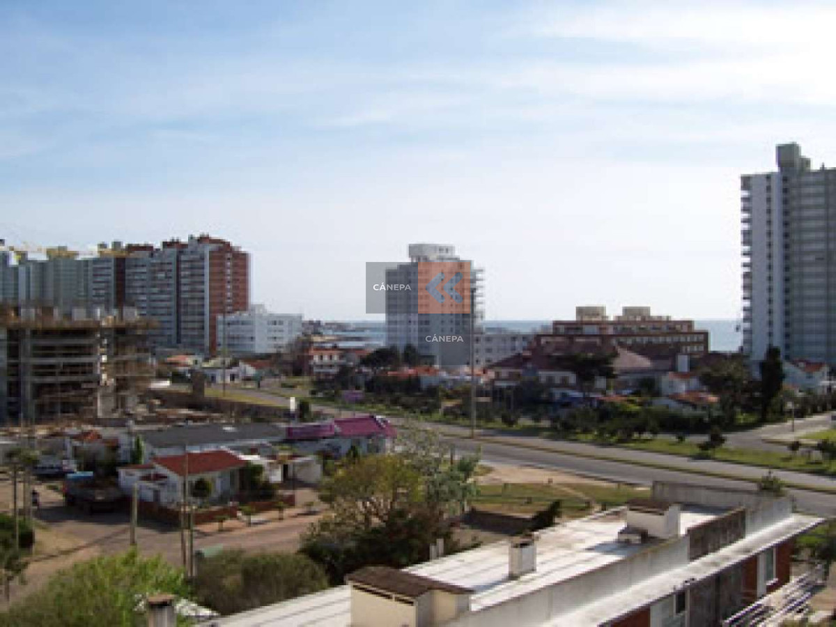 Chiverta - GoPunta - Portal Inmobiliario de Punta del Este - Maldonado