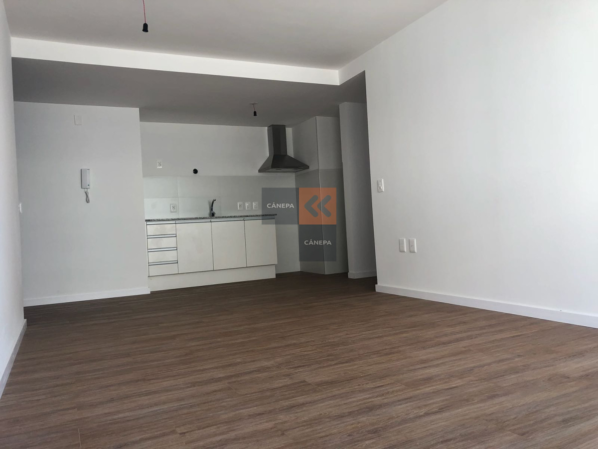 Parque Batlle - GoPunta - Portal Inmobiliario de Punta del Este - Maldonado