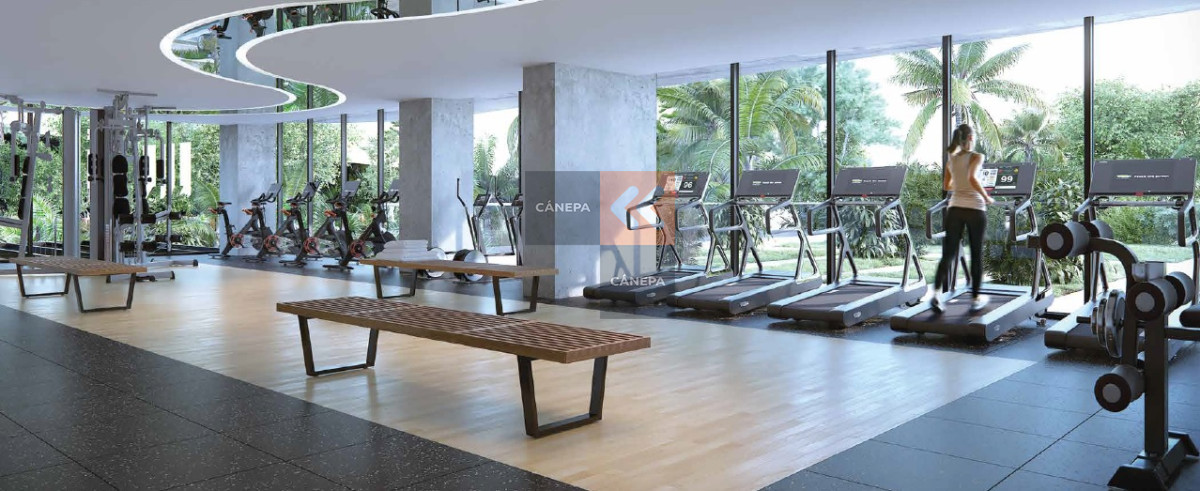 Brava - GoPunta - Portal Inmobiliario de Punta del Este - Maldonado