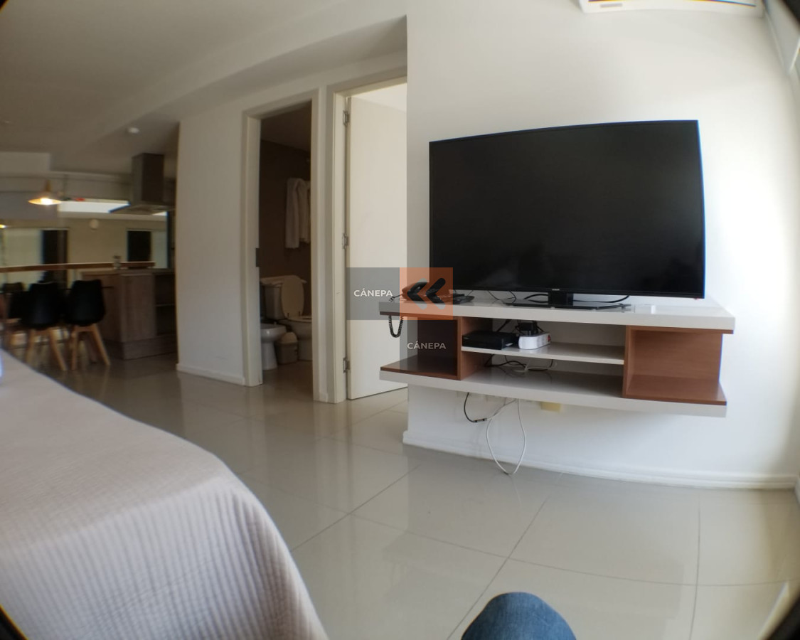 Puerto - GoPunta - Portal Inmobiliario de Punta del Este - Maldonado