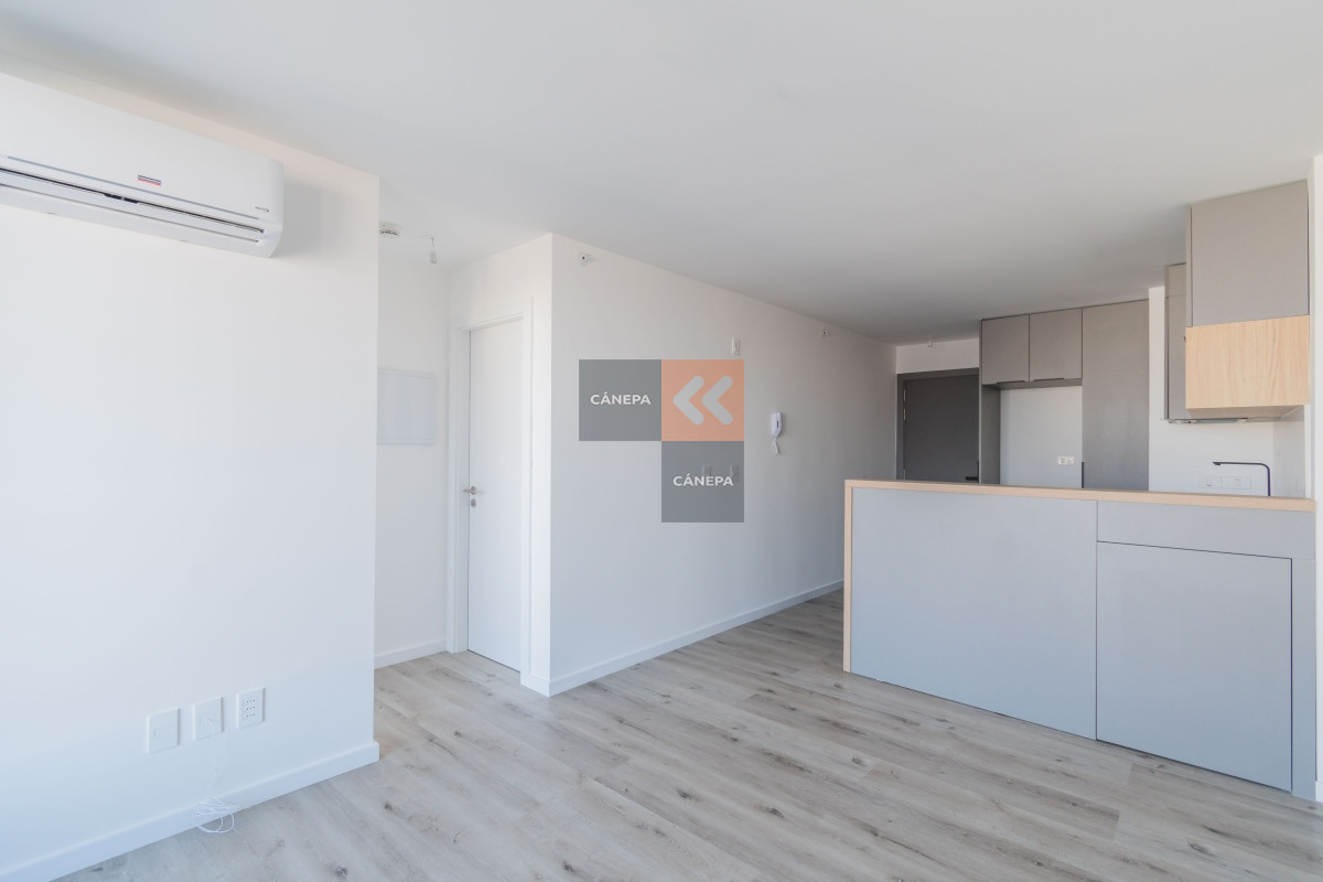 Buceo - GoPunta - Portal Inmobiliario de Punta del Este - Maldonado