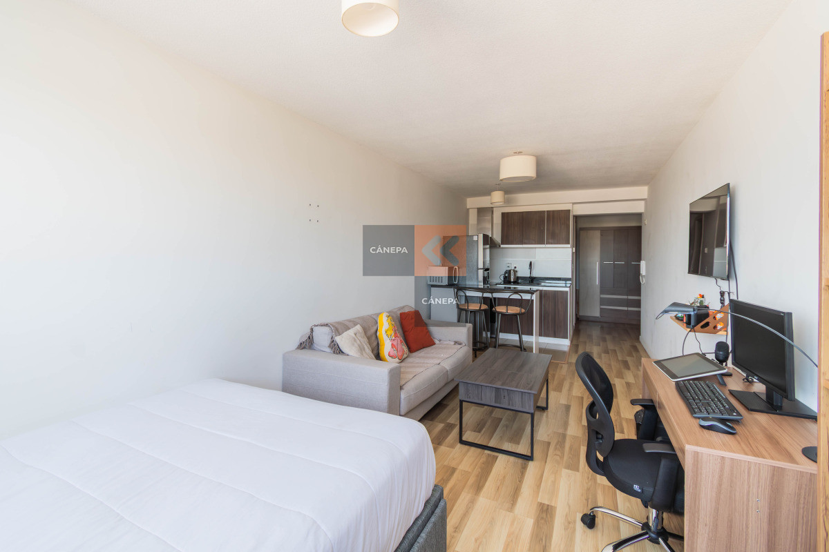 Punta Carretas - GoPunta - Portal Inmobiliario de Punta del Este - Maldonado