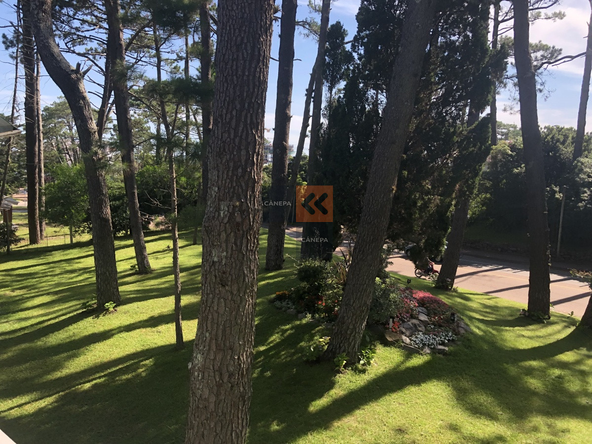 Arcobaleno - GoPunta - Portal Inmobiliario de Punta del Este - Maldonado