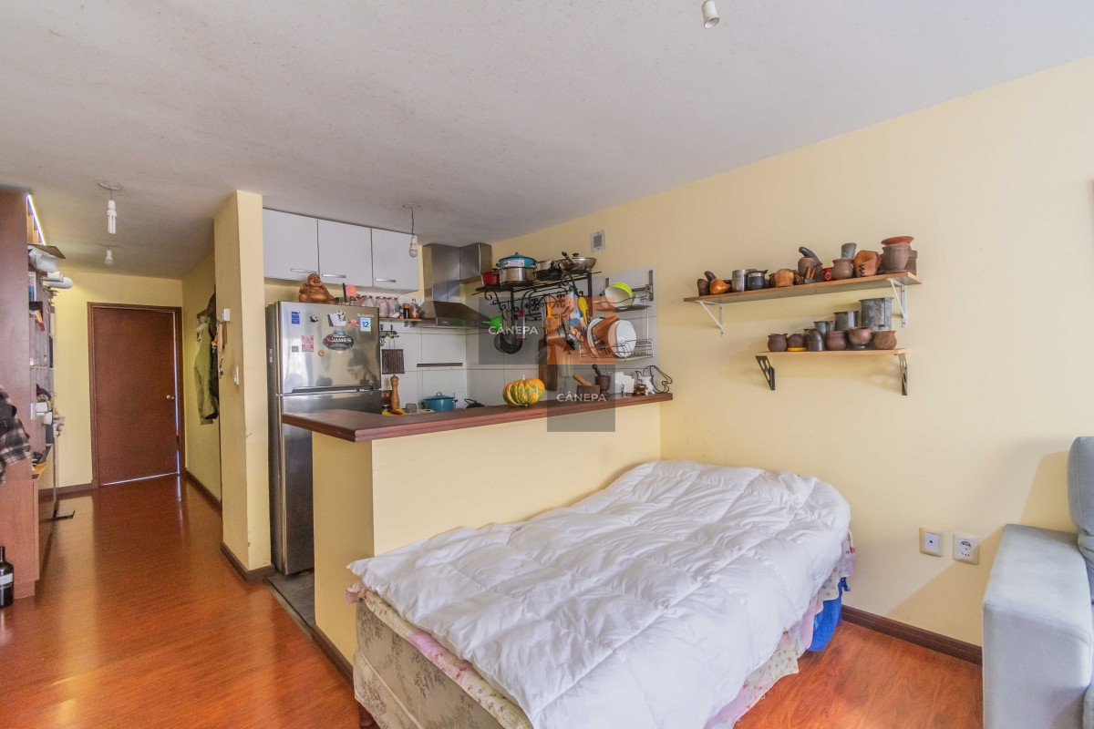 Punta Carretas - GoPunta - Portal Inmobiliario de Punta del Este - Maldonado