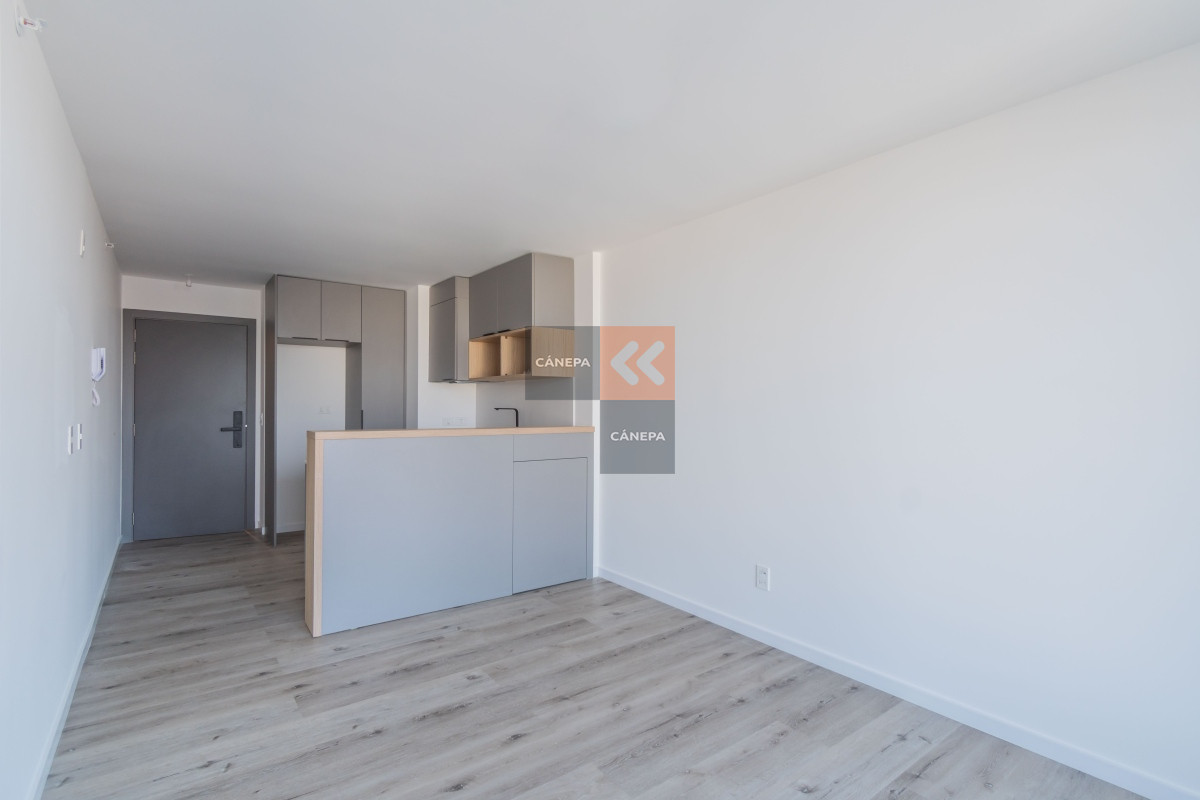 Buceo - GoPunta - Portal Inmobiliario de Punta del Este - Maldonado