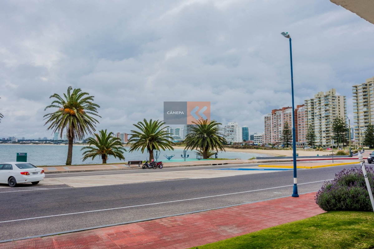 Península - GoPunta - Portal Inmobiliario de Punta del Este - Maldonado