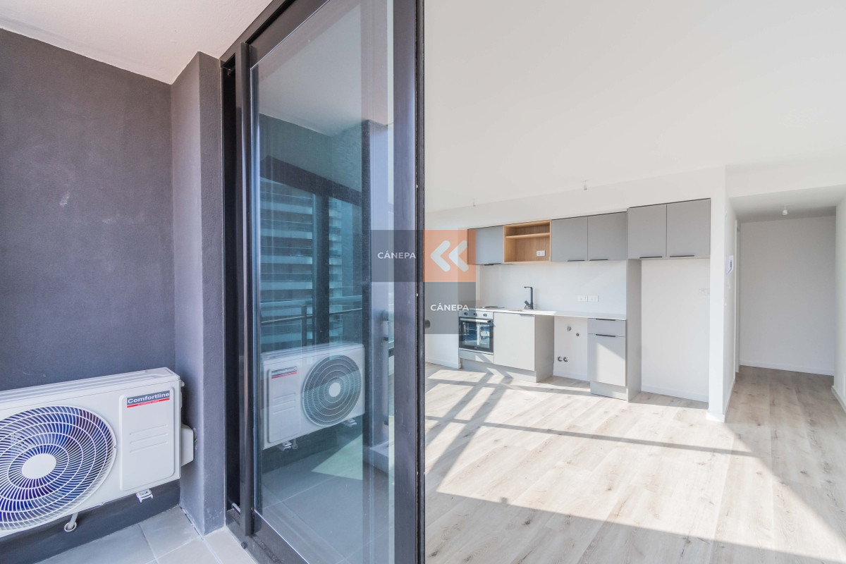 Buceo - GoPunta - Portal Inmobiliario de Punta del Este - Maldonado