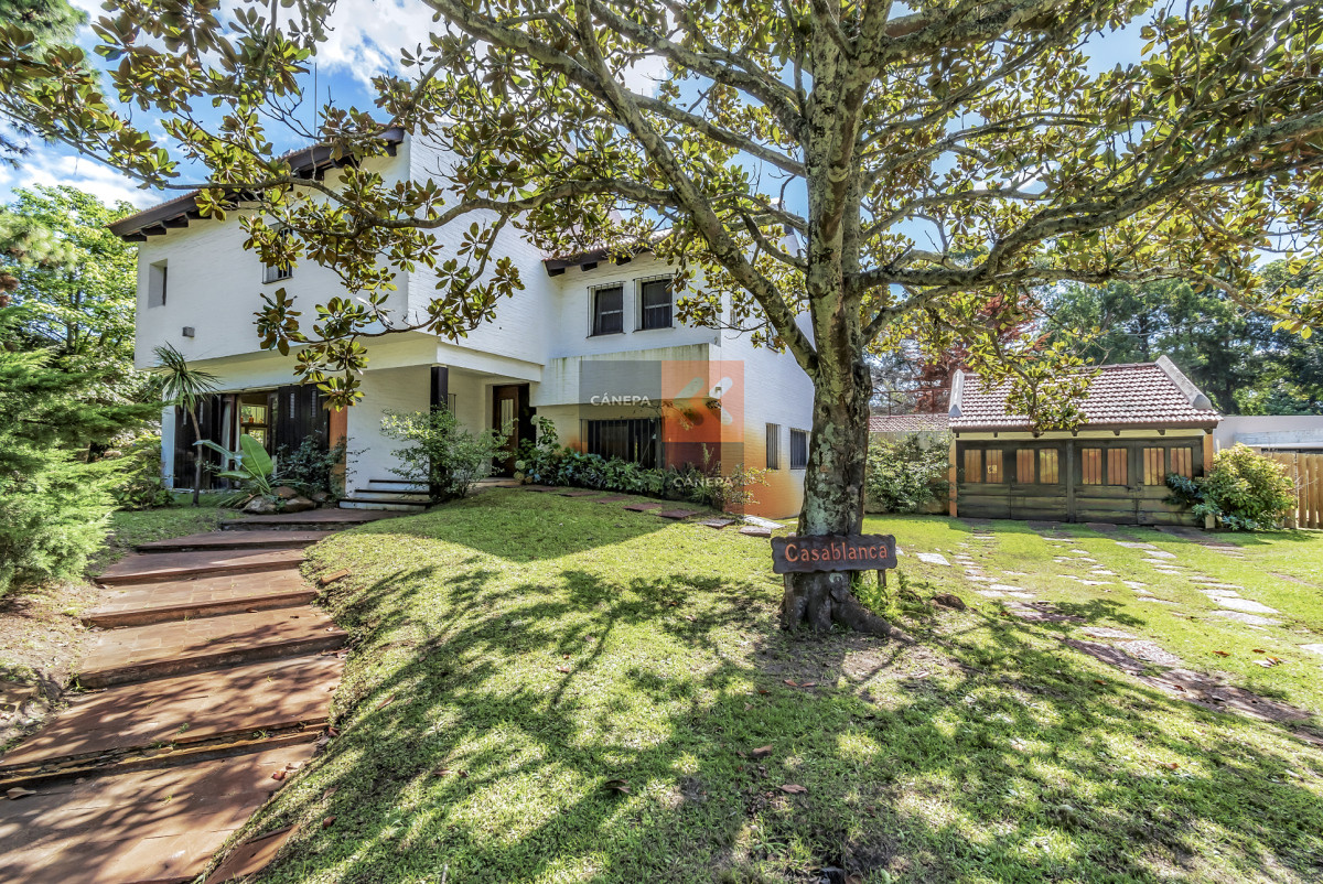 Punta Ballena - GoPunta - Portal Inmobiliario de Punta del Este - Maldonado