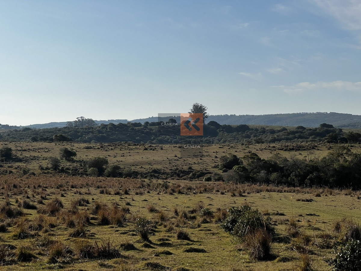 Garzon - GoPunta - Portal Inmobiliario de Punta del Este - Maldonado