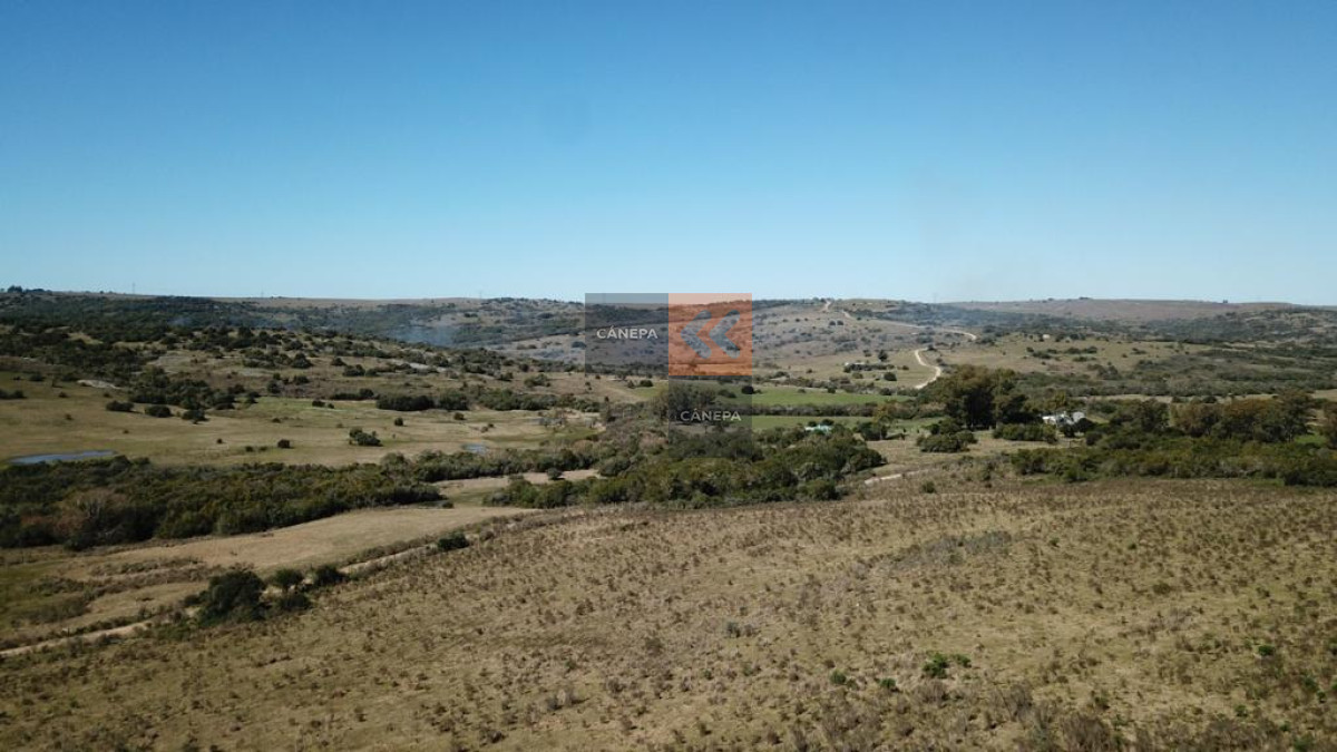 Chacra