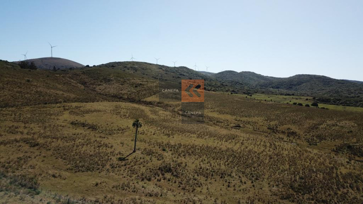 Chacra