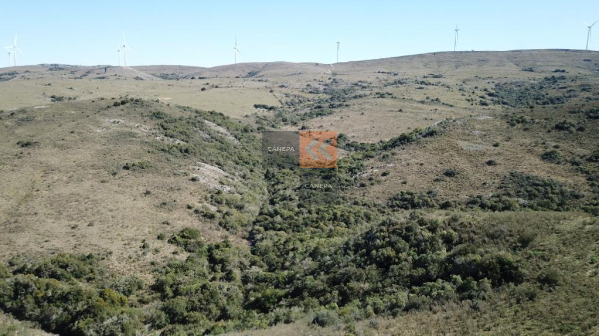 Ruta 39 - GoPunta - Portal Inmobiliario de Punta del Este - Maldonado