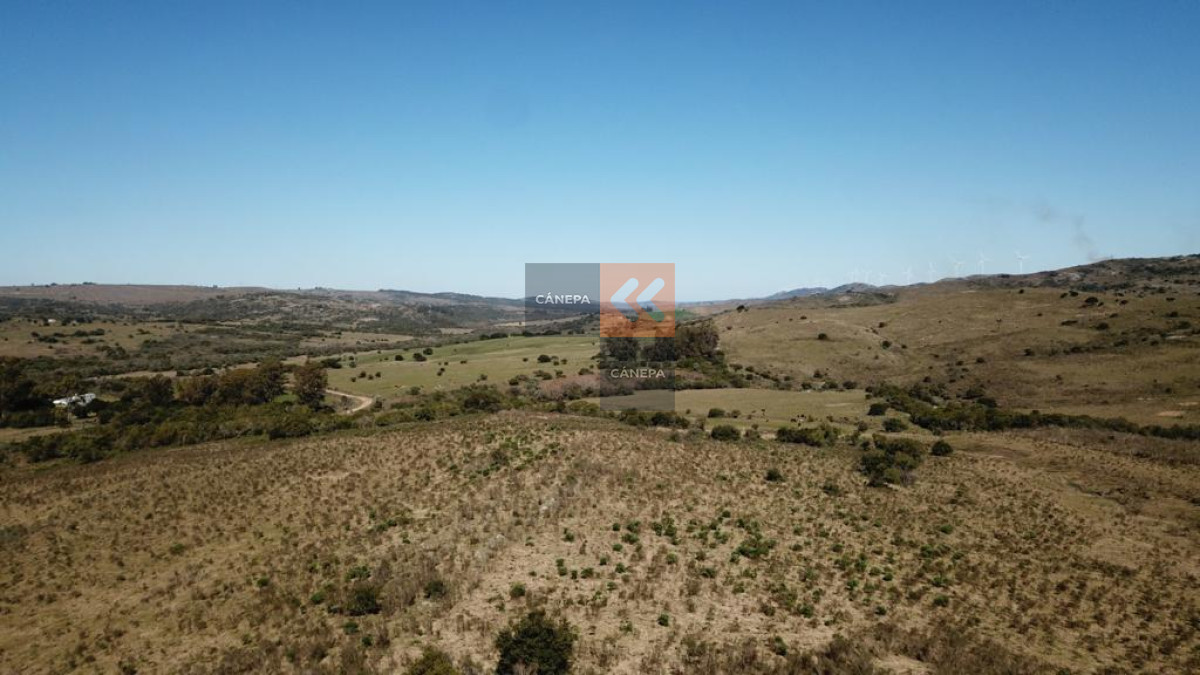 Ruta 39 - GoPunta - Portal Inmobiliario de Punta del Este - Maldonado