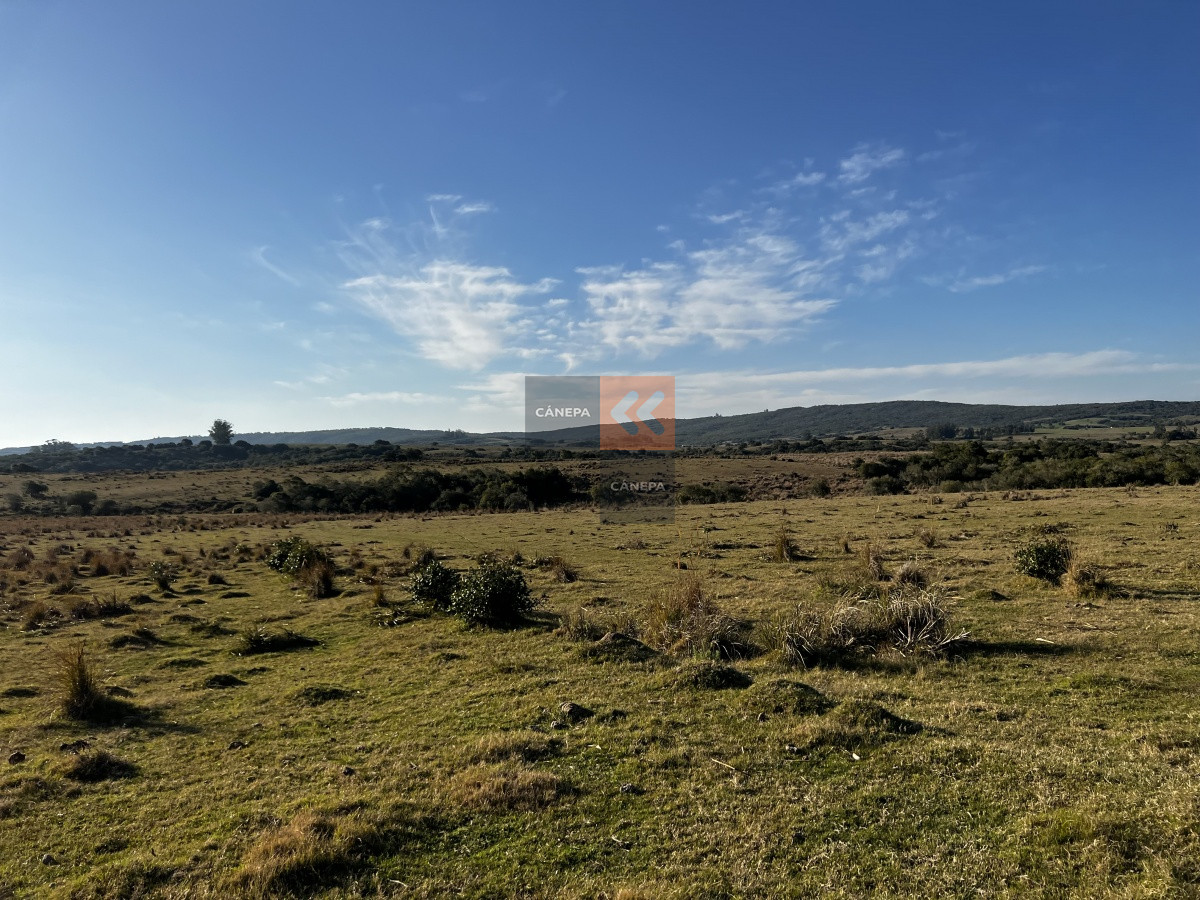 Pueblo Garzón - GoPunta - Portal Inmobiliario de Punta del Este - Maldonado