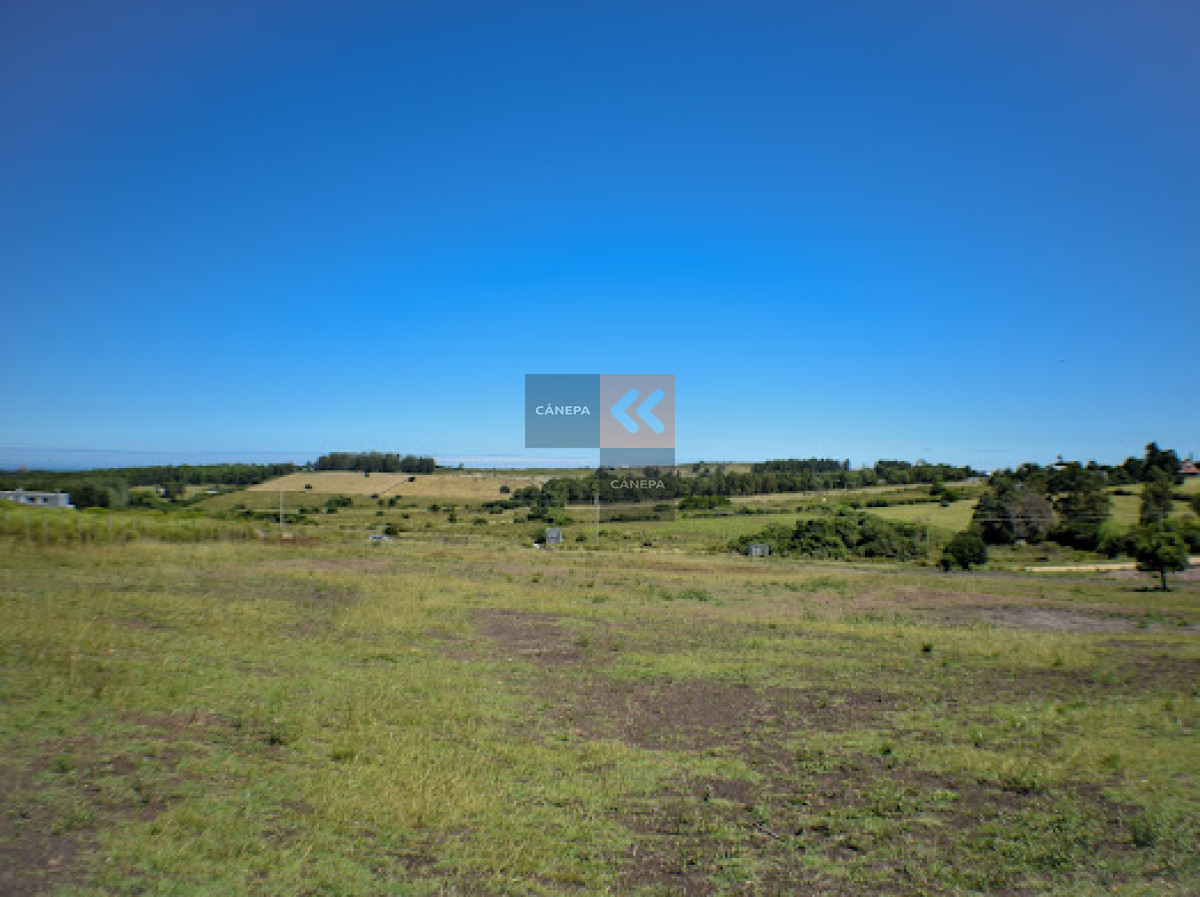 Piriápolis - GoPunta - Portal Inmobiliario de Punta del Este - Maldonado