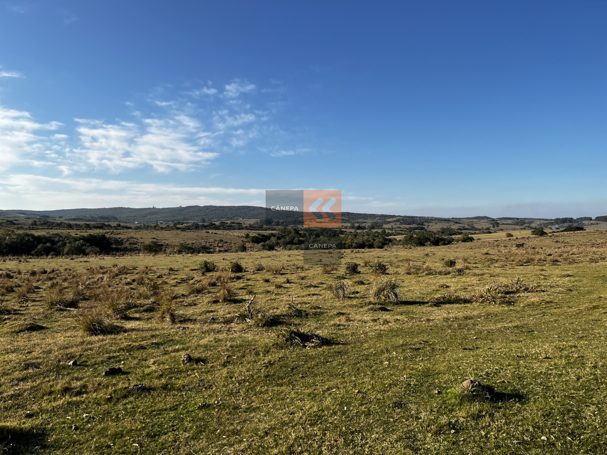 Garzon - GoPunta - Portal Inmobiliario de Punta del Este - Maldonado