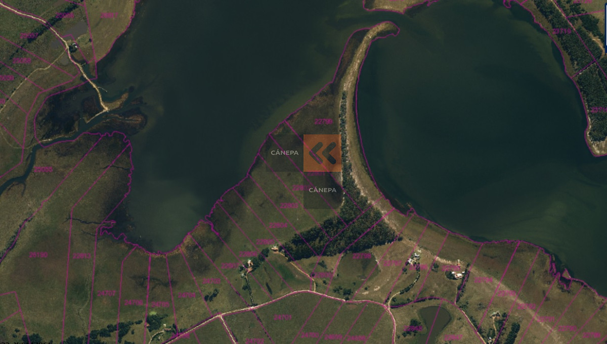 Laguna Garzón - GoPunta - Portal Inmobiliario de Punta del Este - Maldonado