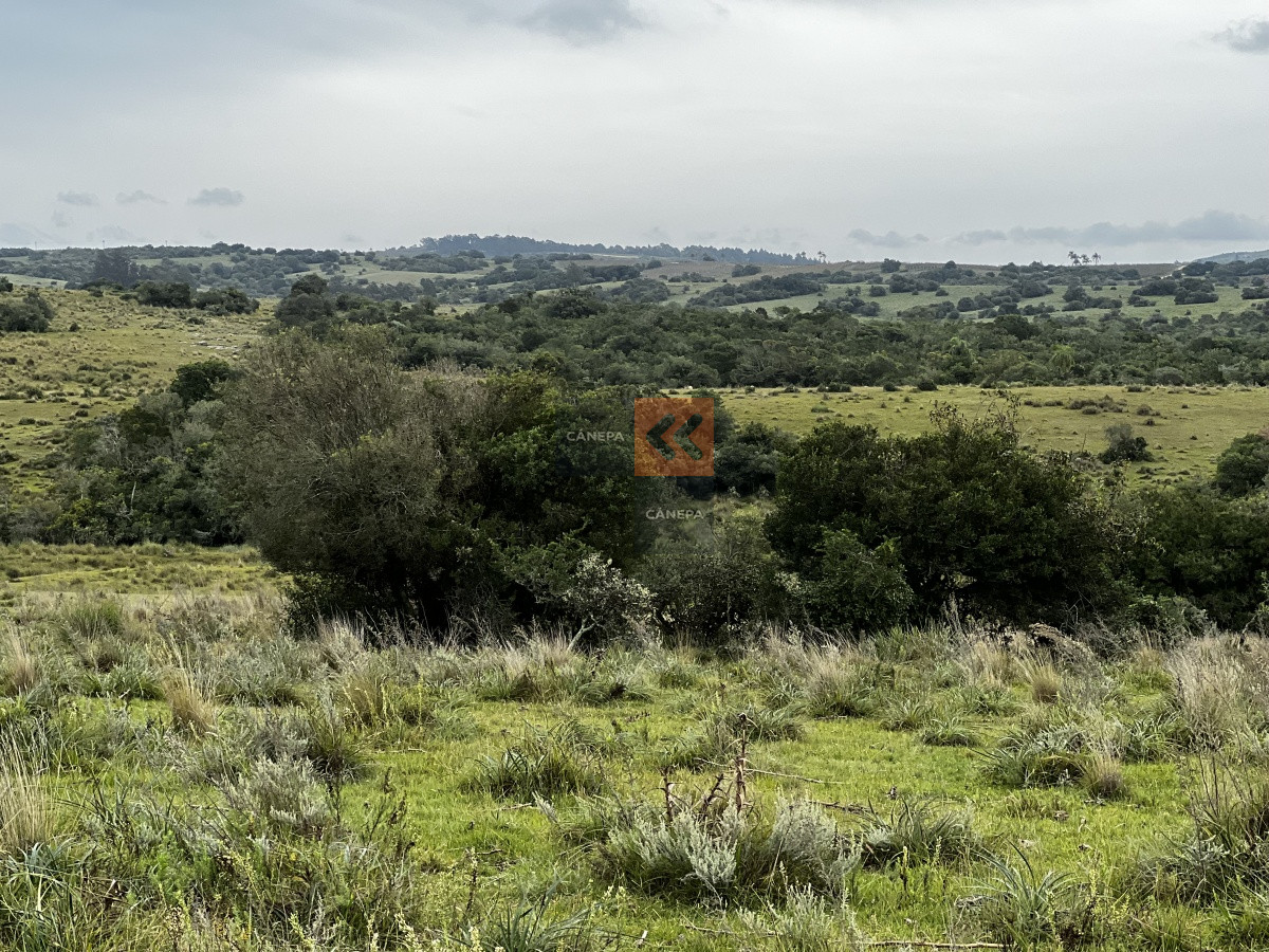 Garzon - GoPunta - Portal Inmobiliario de Punta del Este - Maldonado