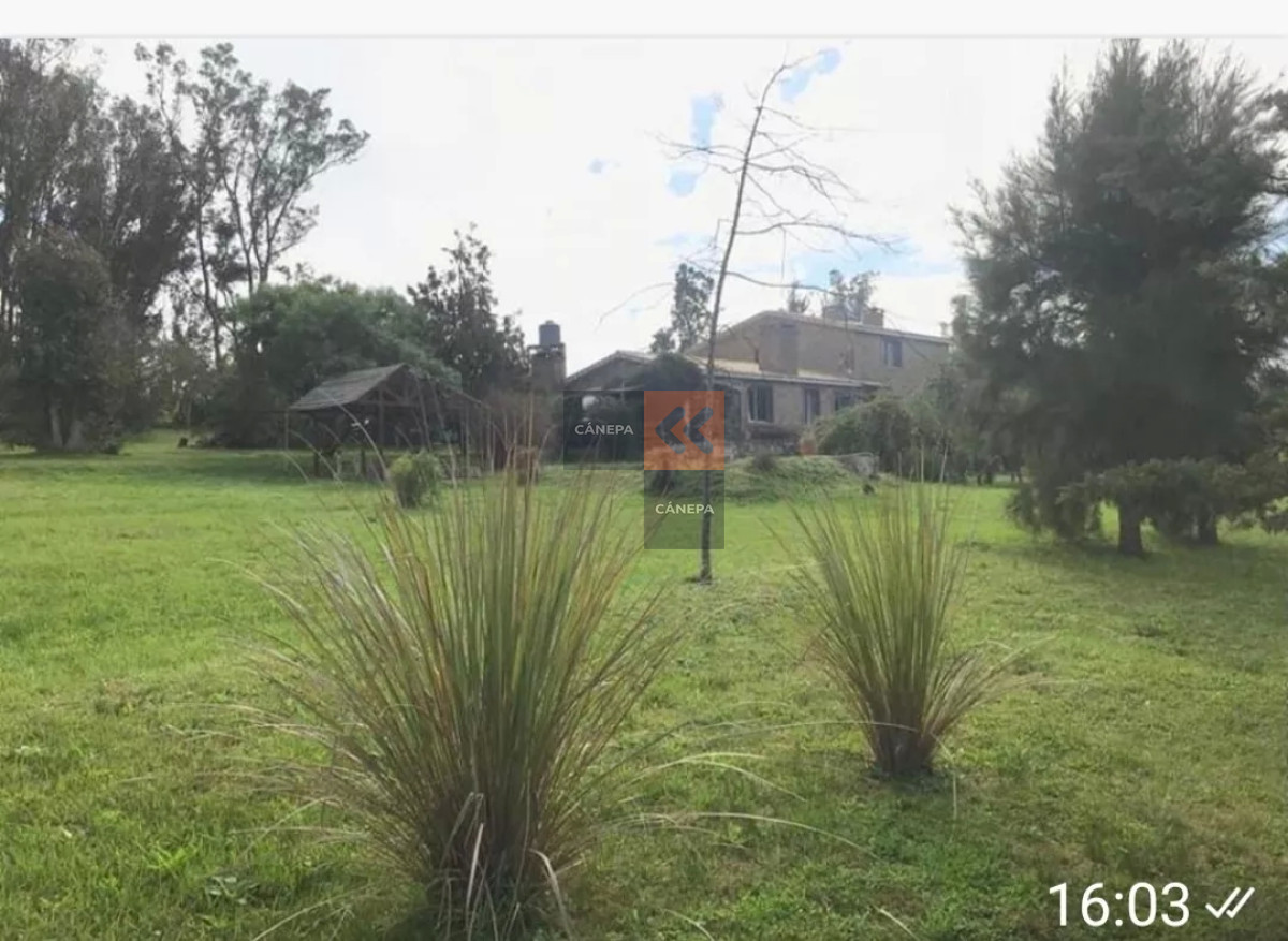 Chacra con caseron - GoPunta - Portal Inmobiliario de Punta del Este - Maldonado