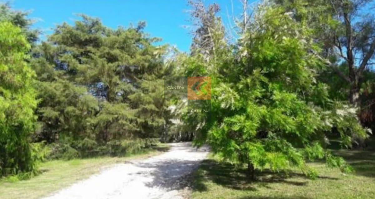 Chacra con caseron - GoPunta - Portal Inmobiliario de Punta del Este - Maldonado