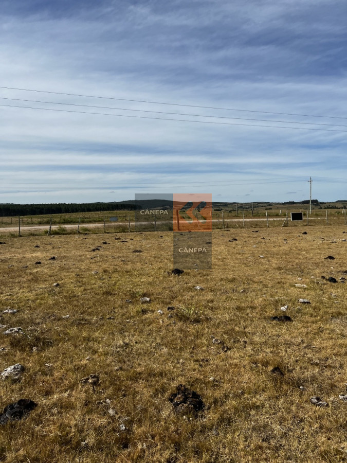 Garzon - GoPunta - Portal Inmobiliario de Punta del Este - Maldonado