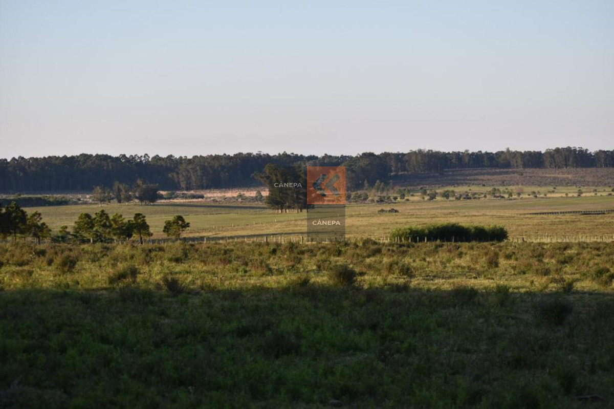 Ruta 104 - GoPunta - Portal Inmobiliario de Punta del Este - Maldonado