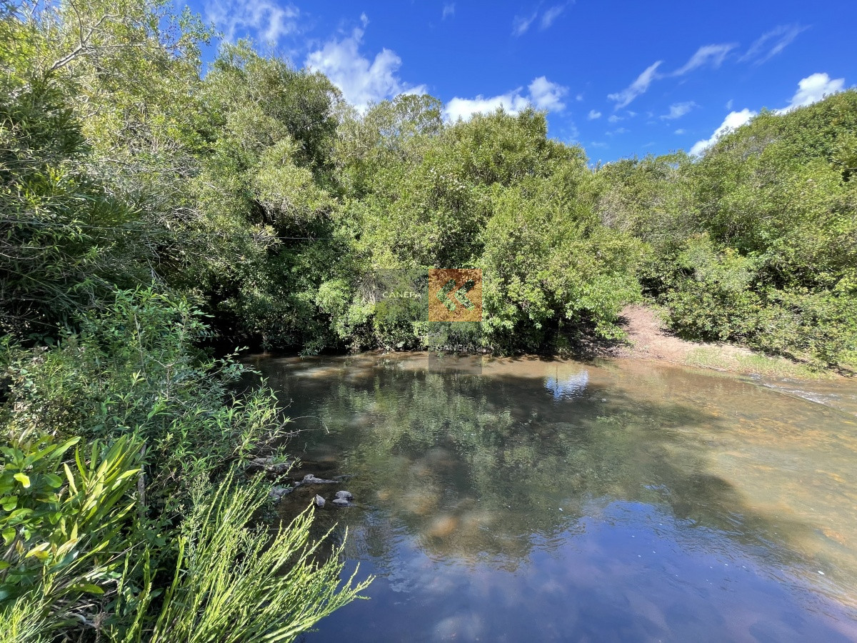 Zona Rural - GoPunta - Portal Inmobiliario de Punta del Este - Maldonado