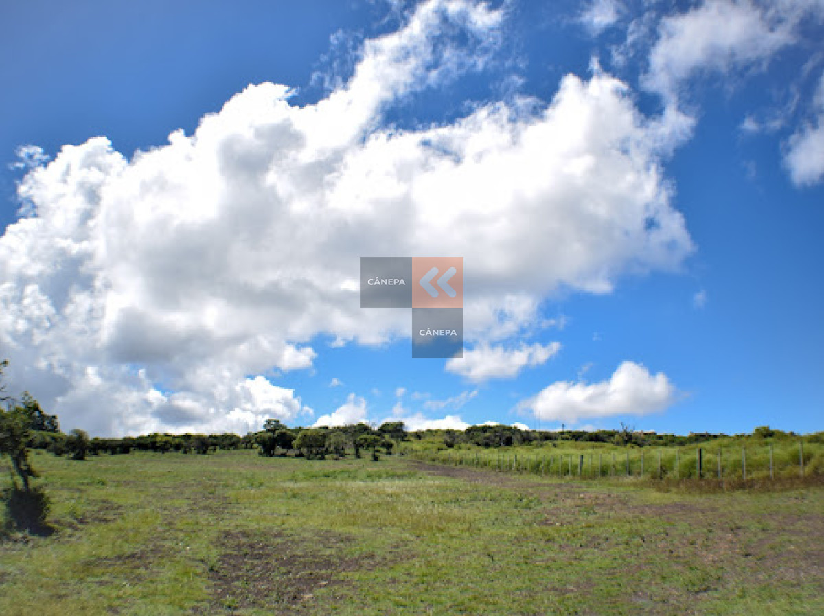 Piriápolis - GoPunta - Portal Inmobiliario de Punta del Este - Maldonado