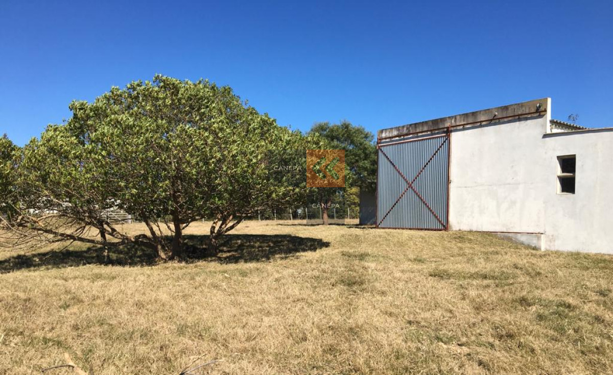 Garzon - GoPunta - Portal Inmobiliario de Punta del Este - Maldonado