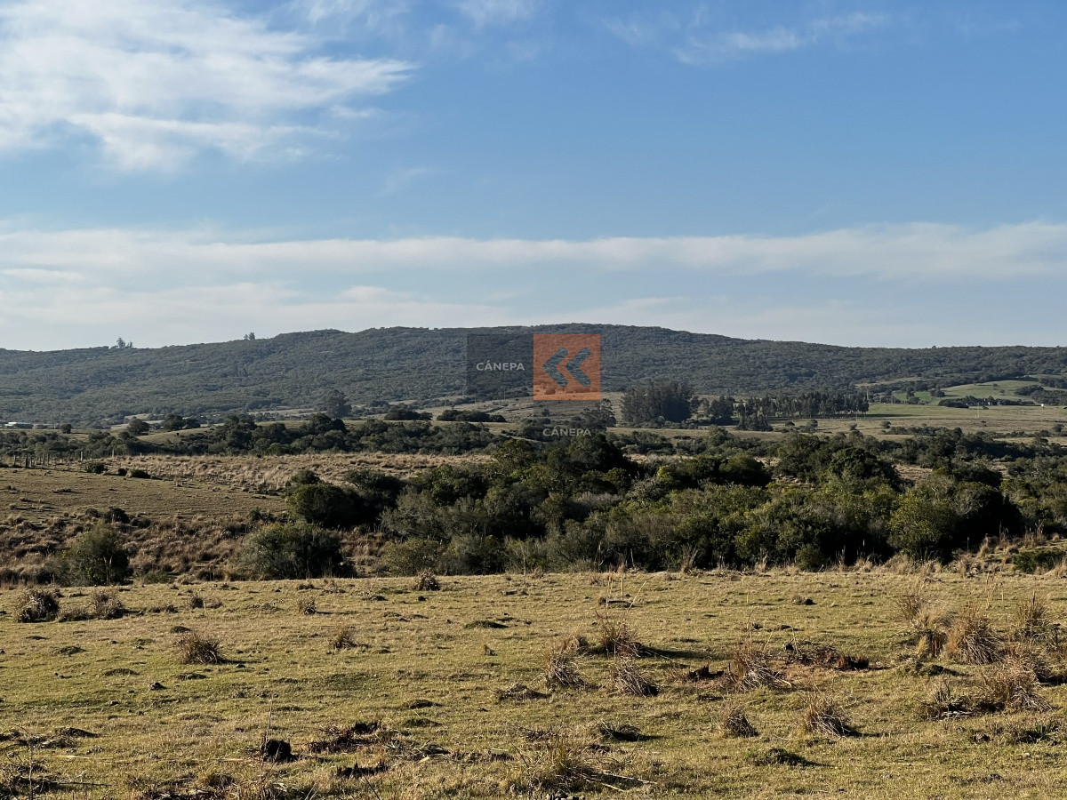 Garzon - GoPunta - Portal Inmobiliario de Punta del Este - Maldonado