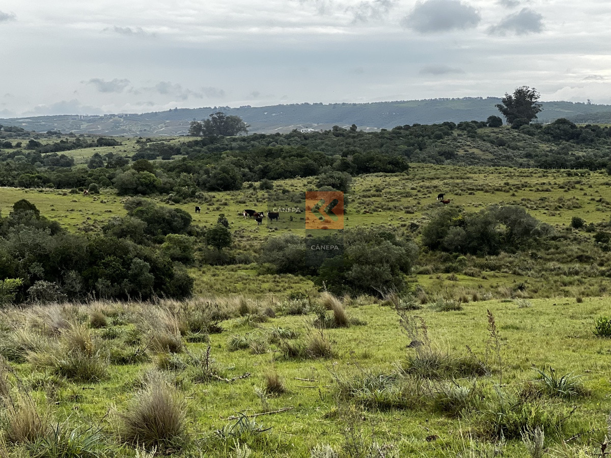 Garzon - GoPunta - Portal Inmobiliario de Punta del Este - Maldonado