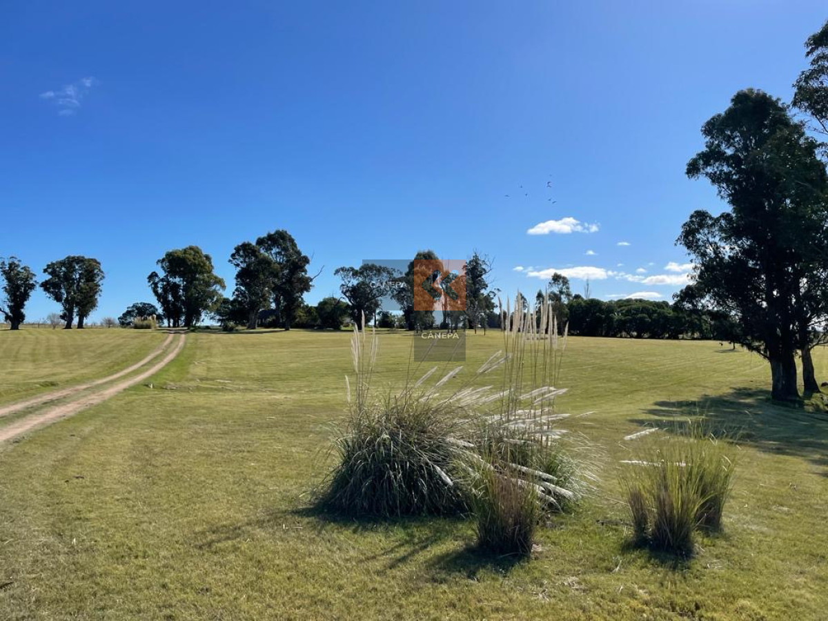 José Ignacio - GoPunta - Portal Inmobiliario de Punta del Este - Maldonado