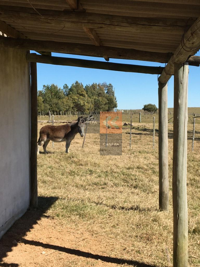 Garzon - GoPunta - Portal Inmobiliario de Punta del Este - Maldonado