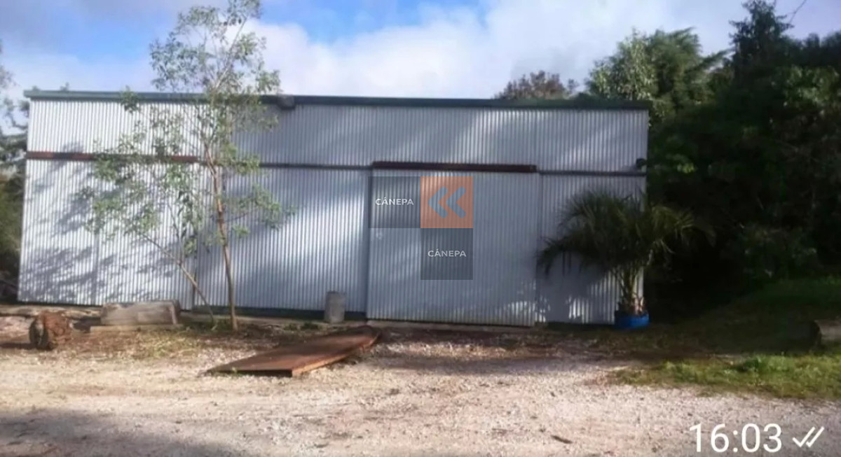 Chacra con caseron - GoPunta - Portal Inmobiliario de Punta del Este - Maldonado