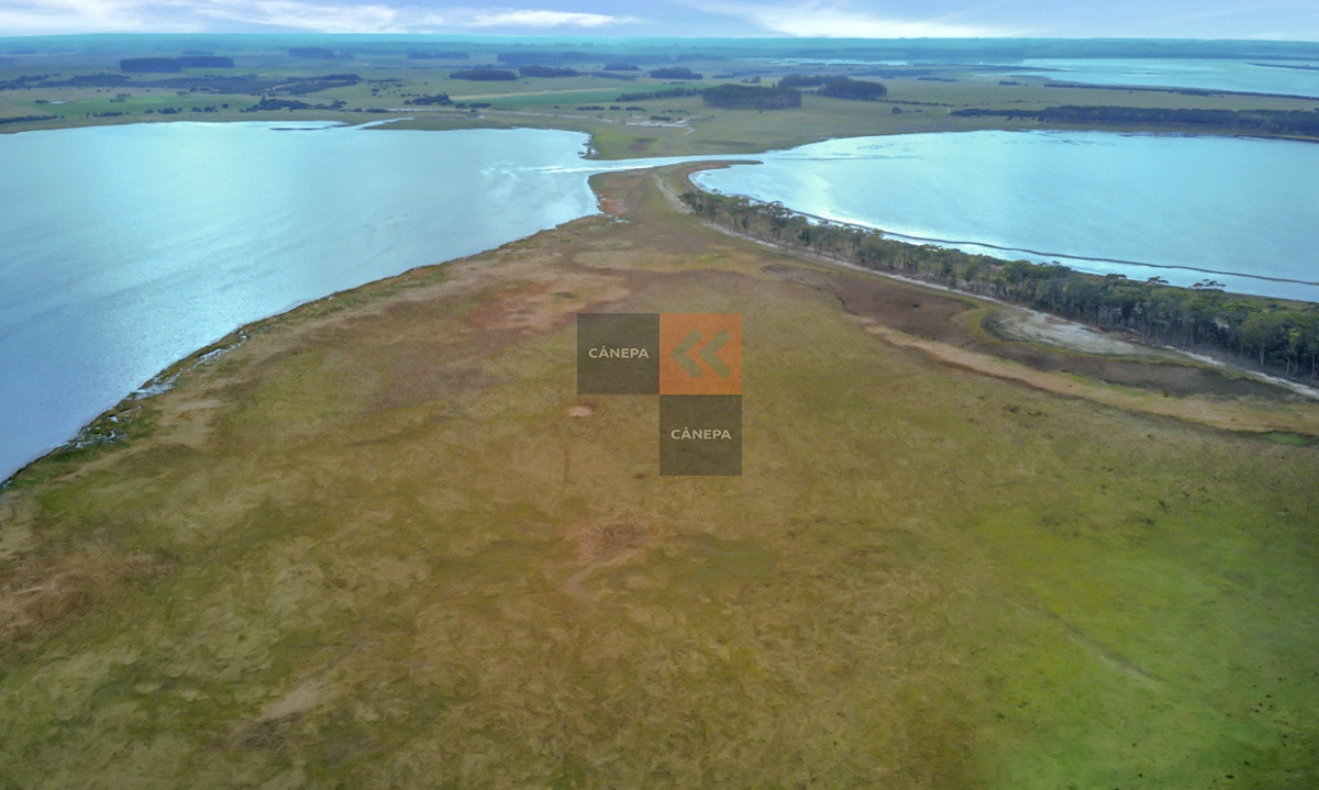 Laguna Garzón - GoPunta - Portal Inmobiliario de Punta del Este - Maldonado
