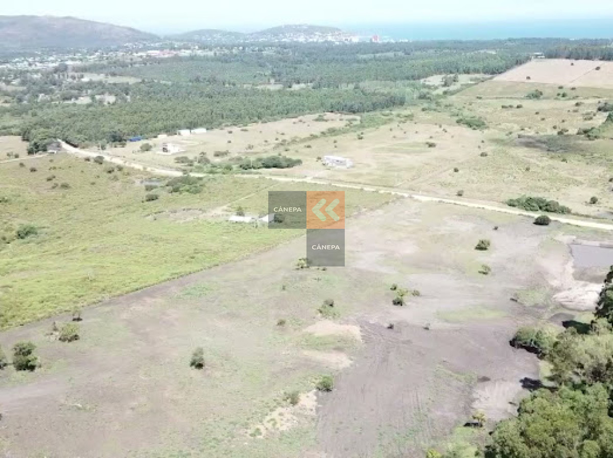 Piriápolis - GoPunta - Portal Inmobiliario de Punta del Este - Maldonado