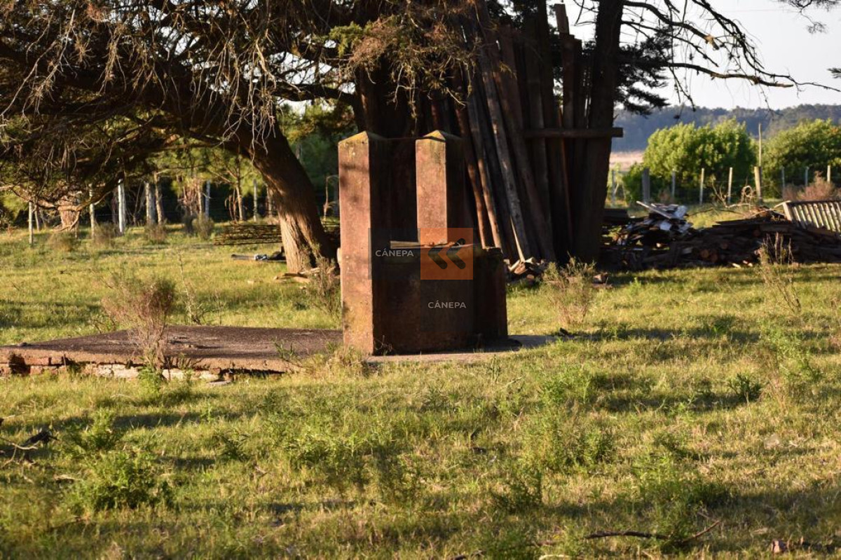 Ruta 104 - GoPunta - Portal Inmobiliario de Punta del Este - Maldonado