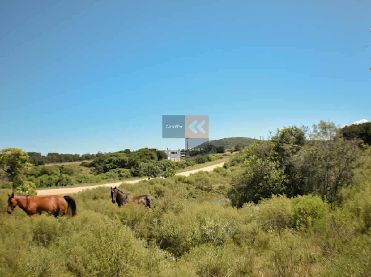 Piriápolis - GoPunta - Portal Inmobiliario de Punta del Este - Maldonado