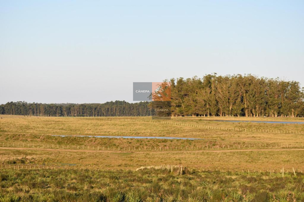 Ruta 104 - GoPunta - Portal Inmobiliario de Punta del Este - Maldonado