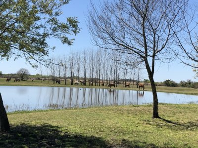Chacra de 5has en barrio privado 