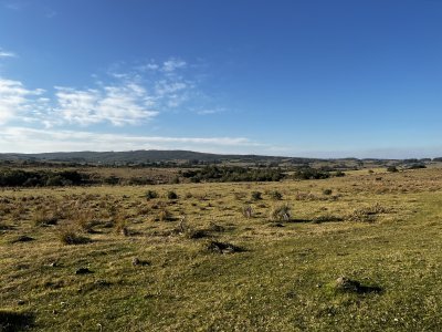 Chacra en Garzón a la venta a 5 kmts del Pueblo y a 30 kmts de Jose Ignacio